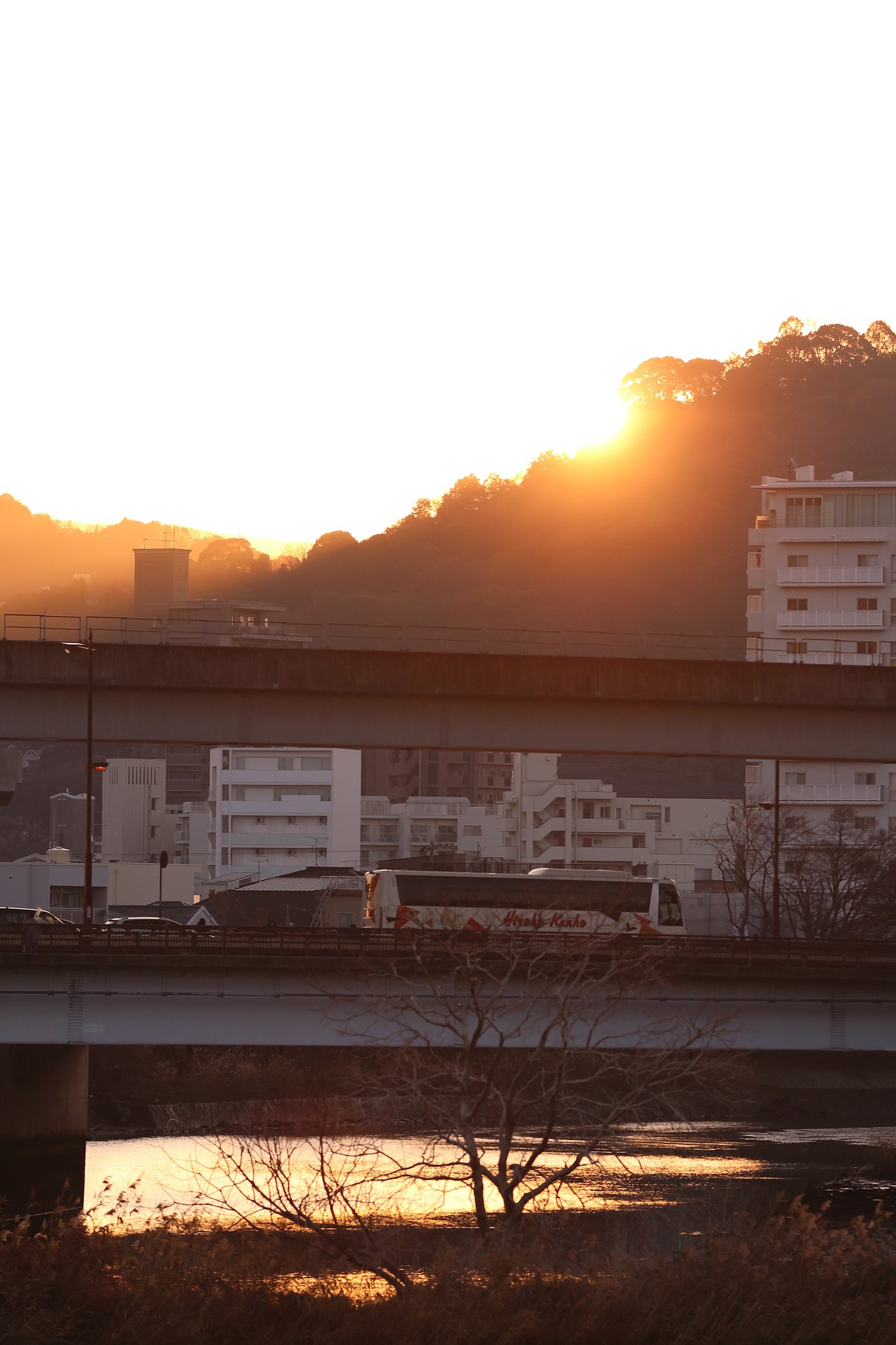 初日の出2020