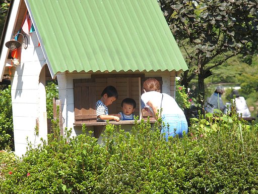 小さな家は僕たちのおうち