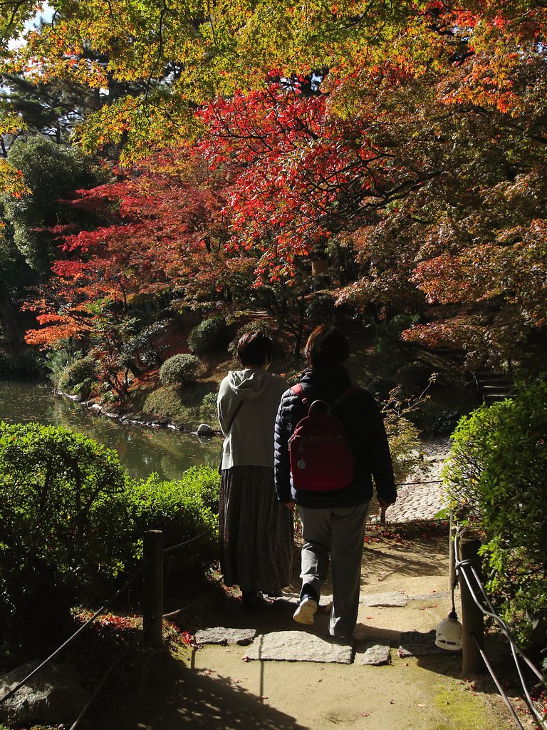 遅いか早いか今年の紅葉