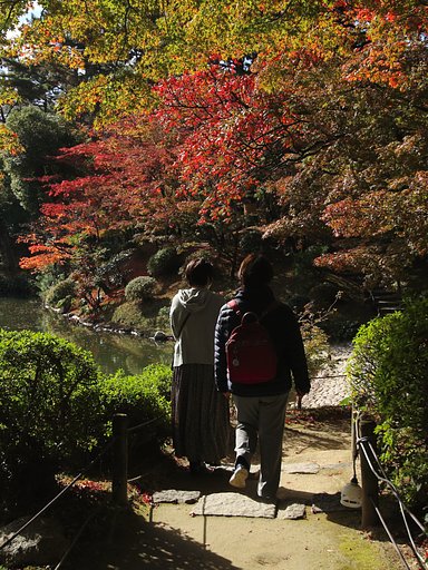 遅いか早いか今年の紅葉