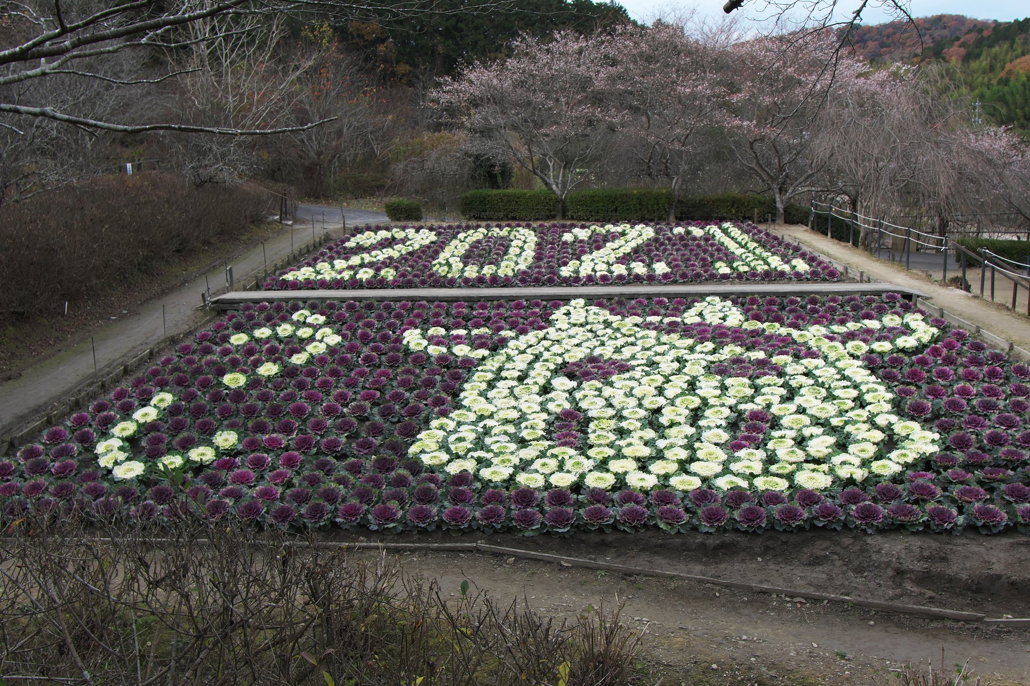 「年末に」来年の干支