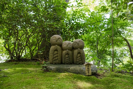 6月28日の写真