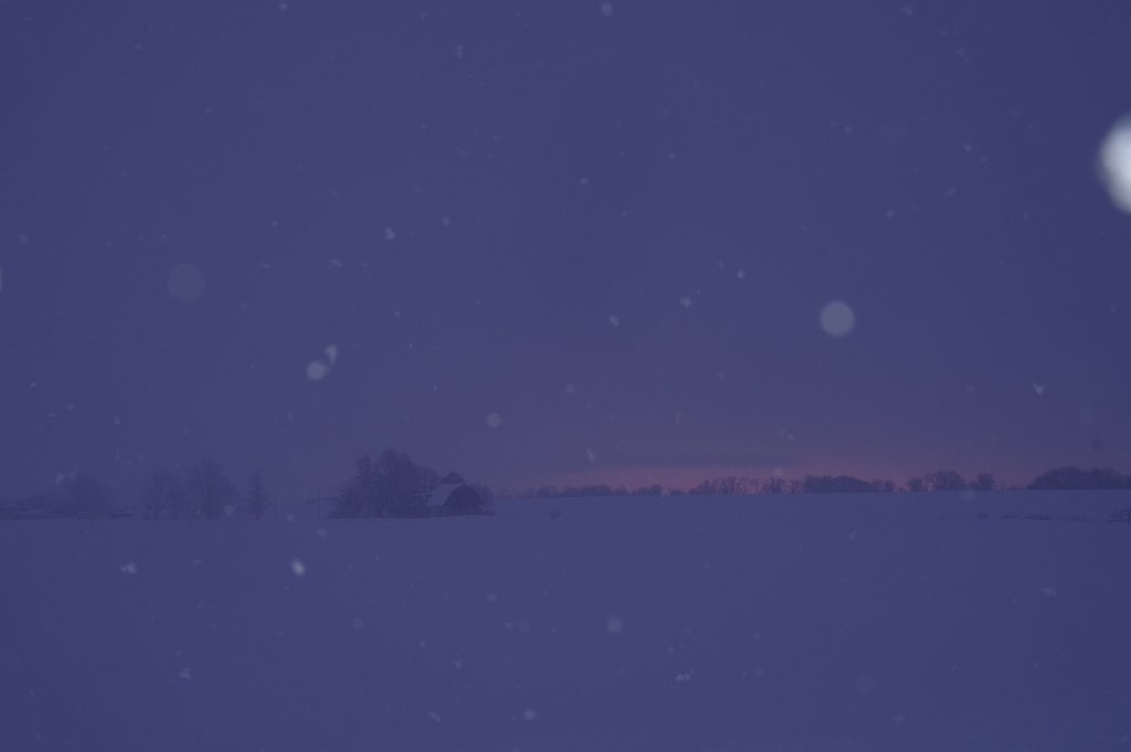 雪がちらつく朝