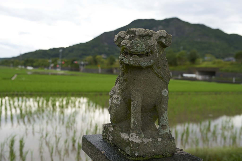  こまいぬ