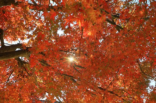 11月30日の写真