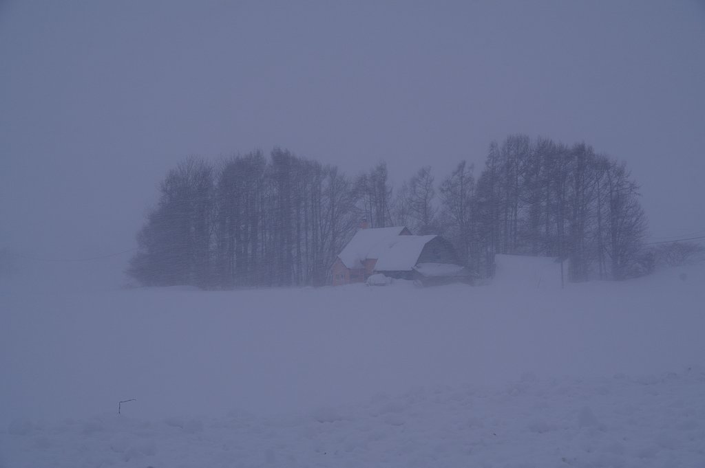 雪景色