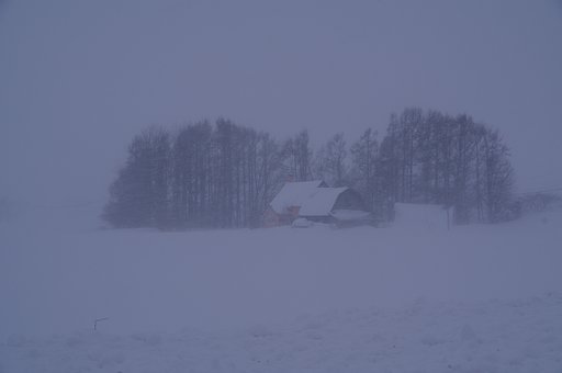 雪景色