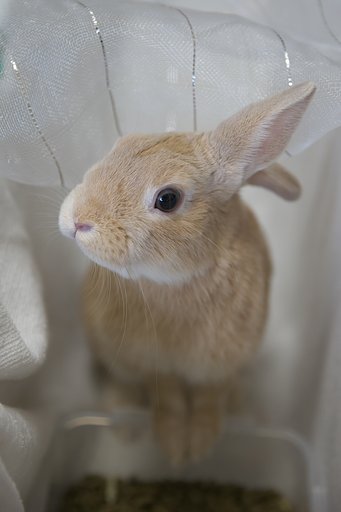 只今お食事中(^_-)-☆
