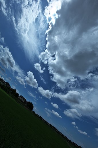 梅雨晴れをもう一枚