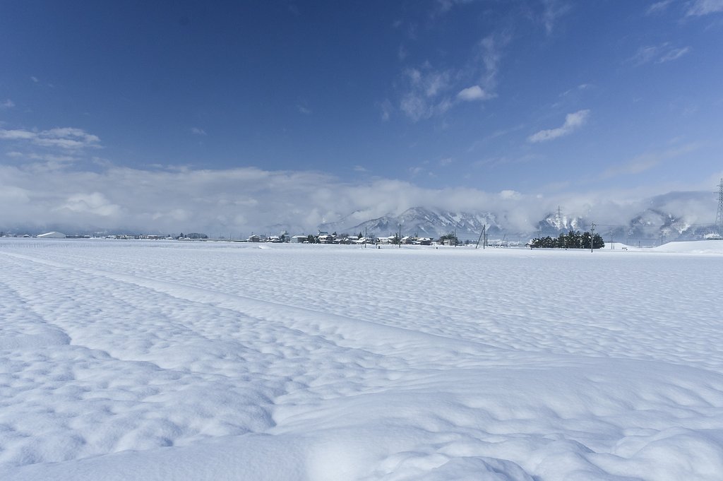 越前雪景色