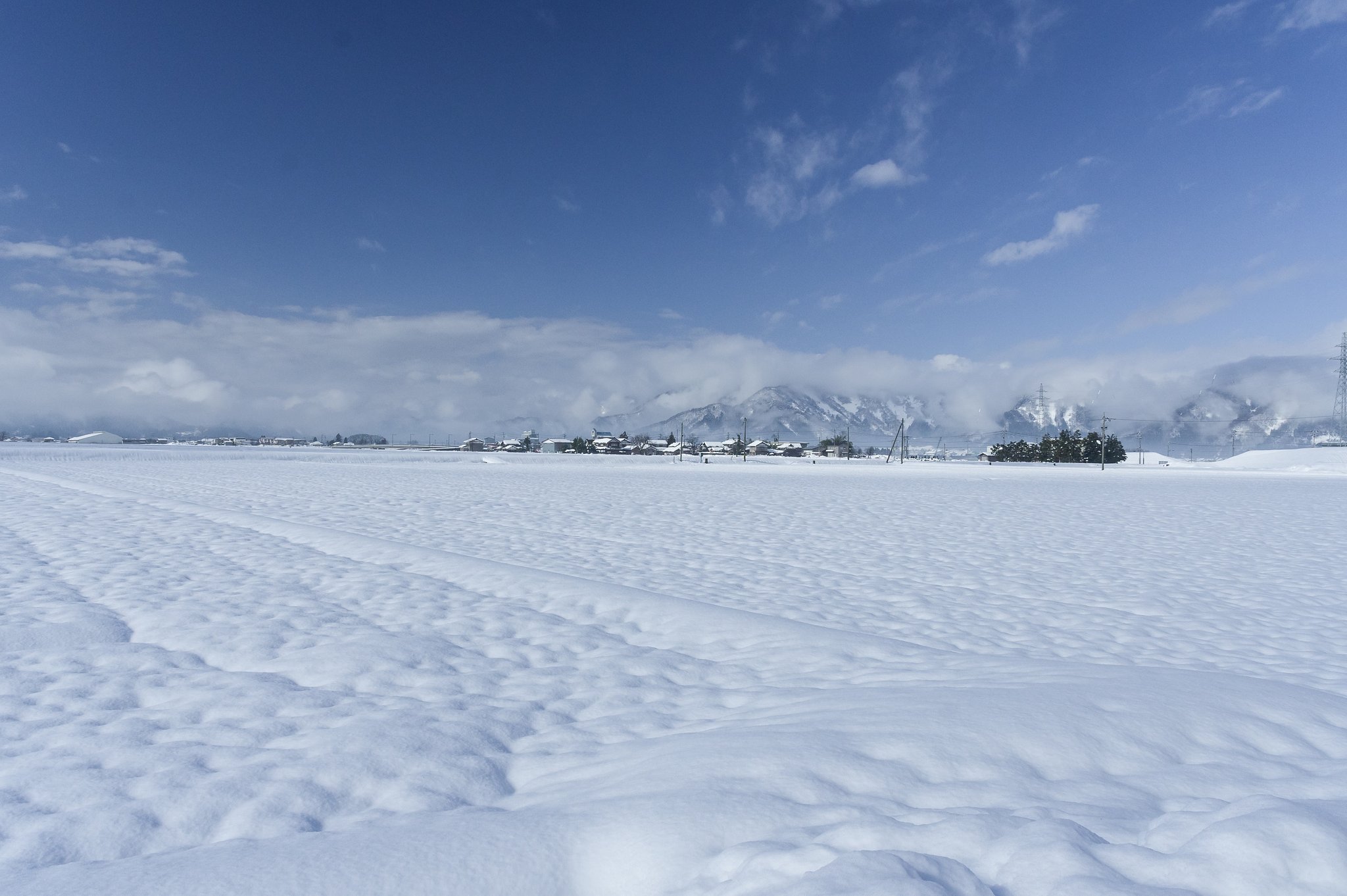 越前雪景色