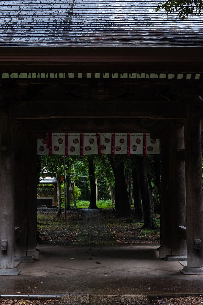 雨の神社