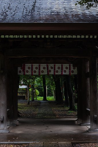雨の神社