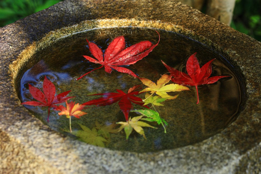 手水鉢