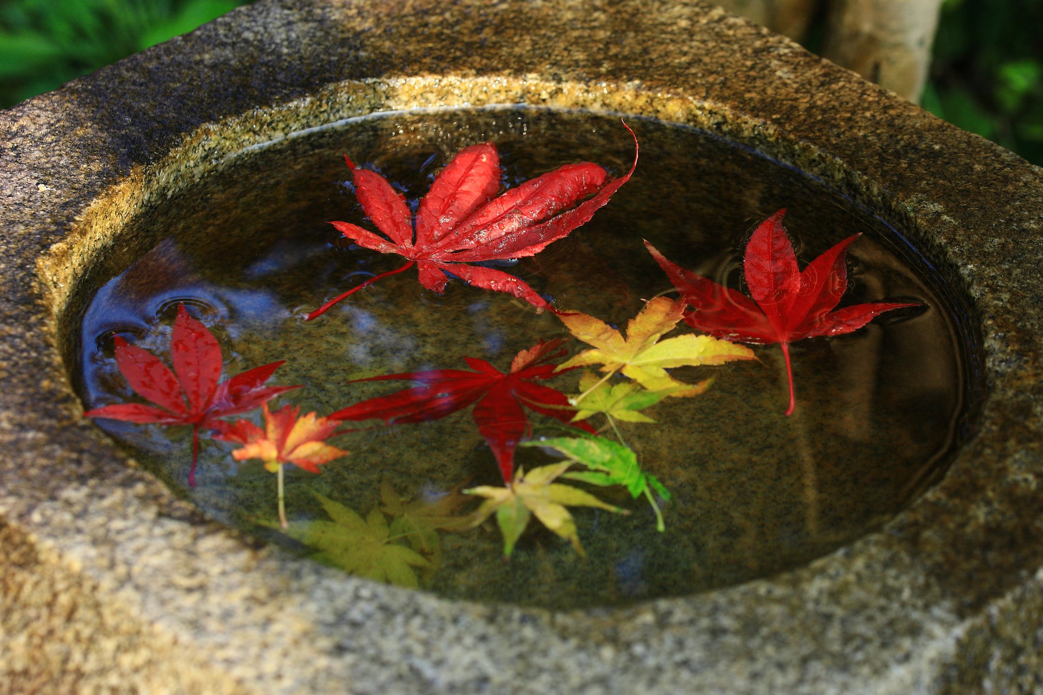 手水鉢