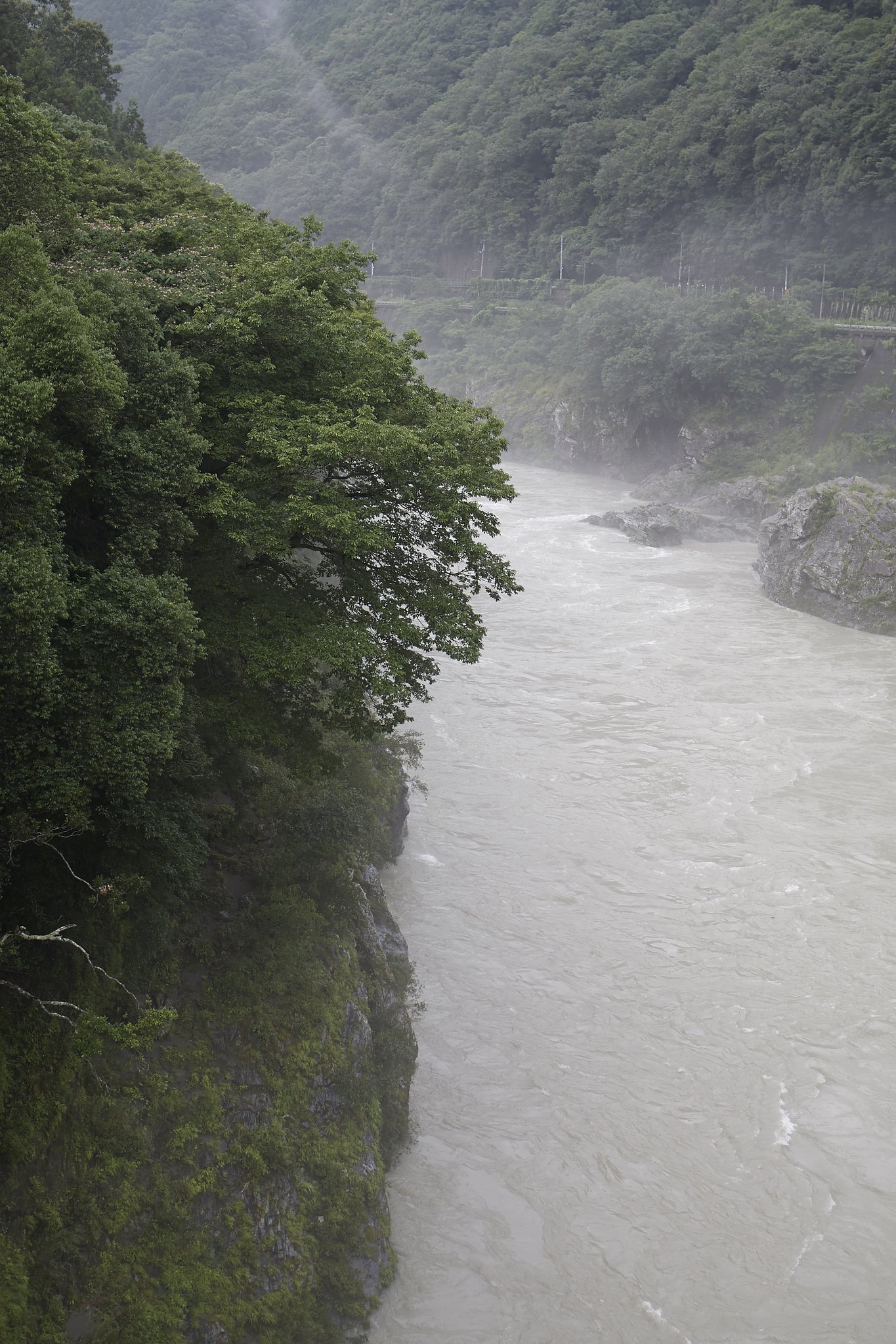吉野川