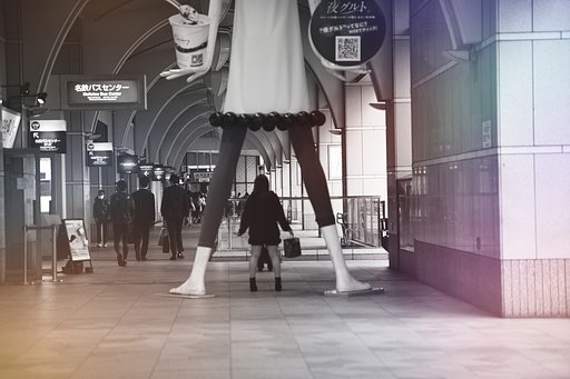 11月6日の写真