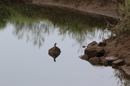 大きく写すことがすべてではない