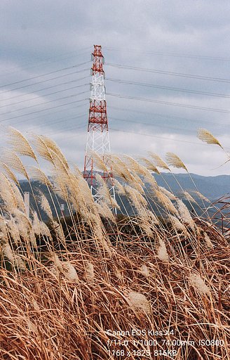 【新春に】吹く風は冷たい