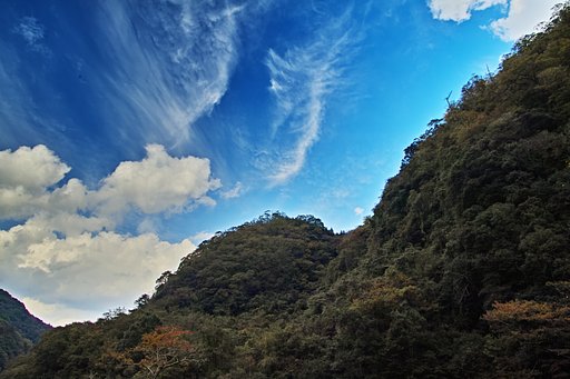 11月7日の写真