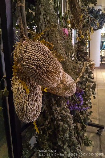 ドライの花束