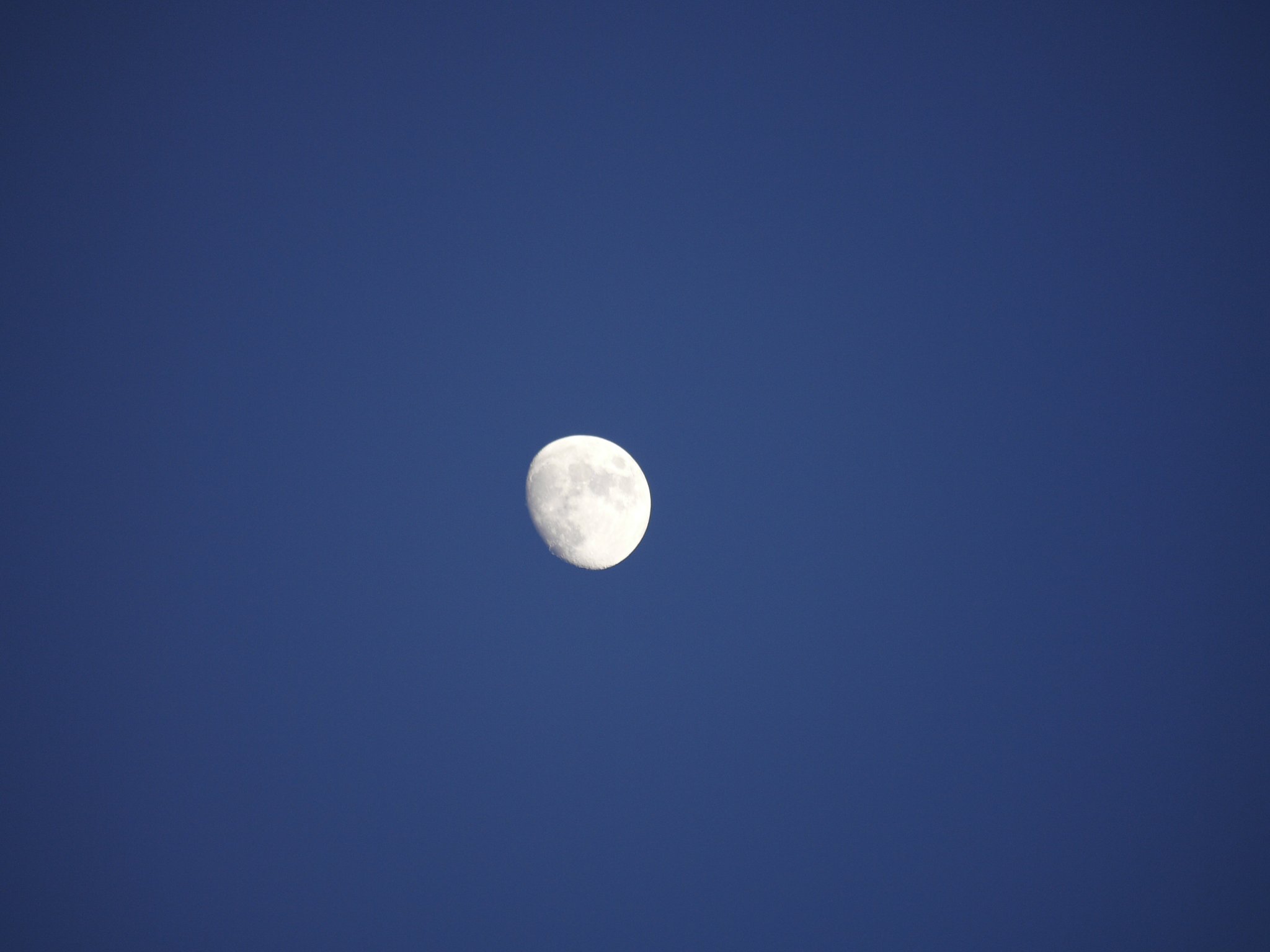 ZUIKO  D  50-200mm  2.8-3.5   SWD