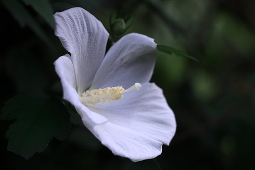 爽やか