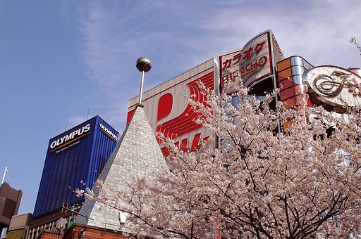 銀座の桜は満開過ぎた！