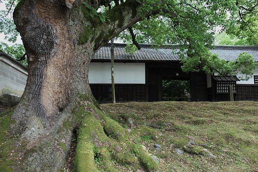 5月23日の写真
