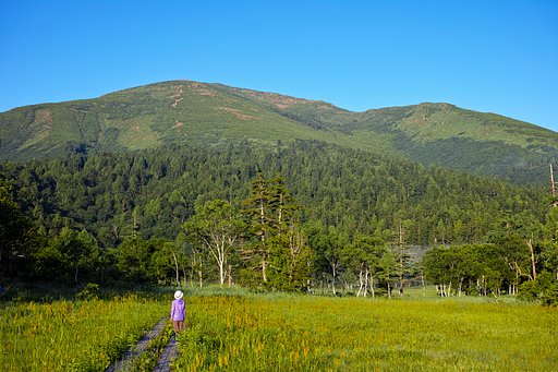 見上げれば至仏山