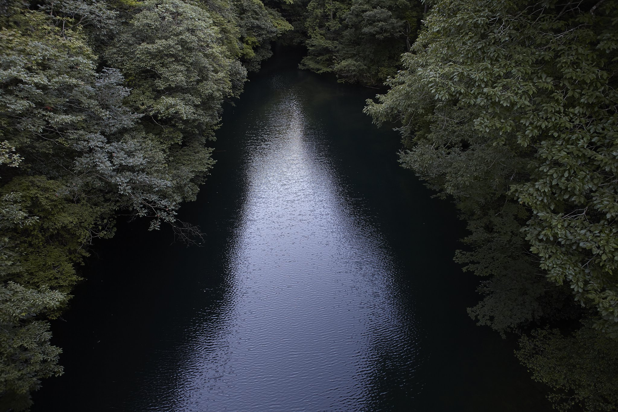 ダム湖