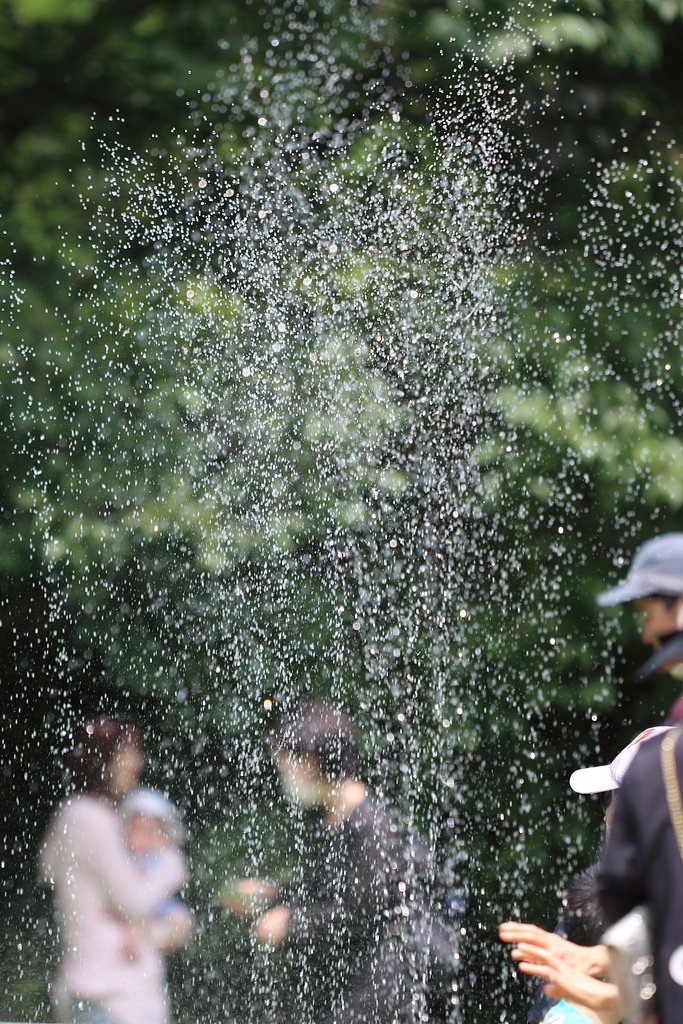 夏は来る来る夏は来る