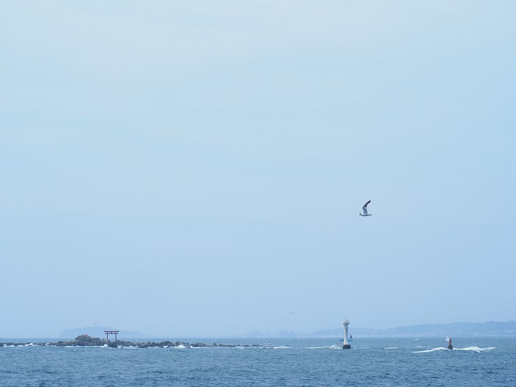 折角の夏なのに・・・・