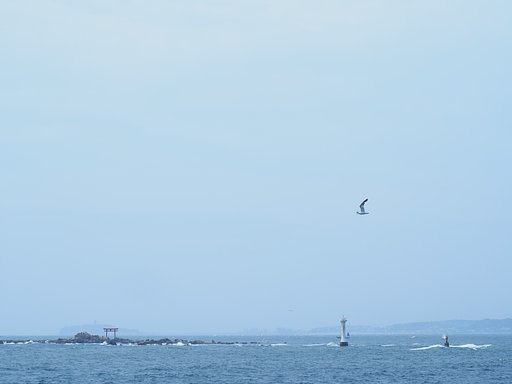 折角の夏なのに・・・・
