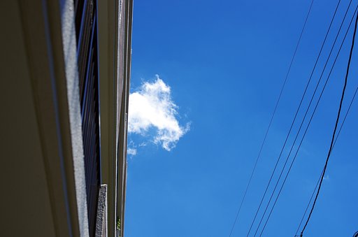 ベランダから見上げてみた