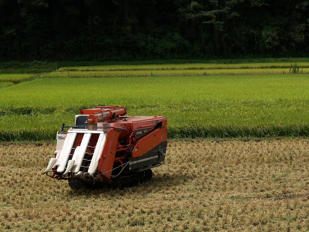 収穫の秋