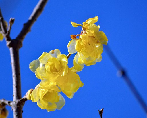 1月20日の写真