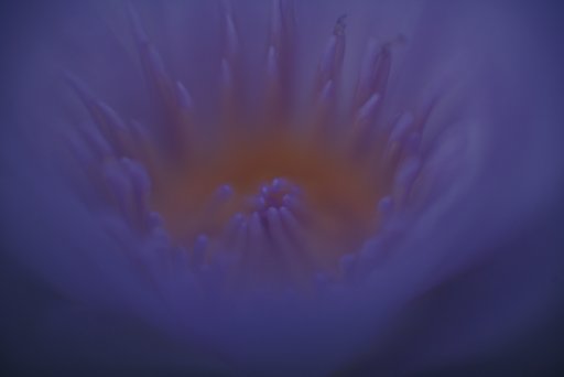 8月27日の写真