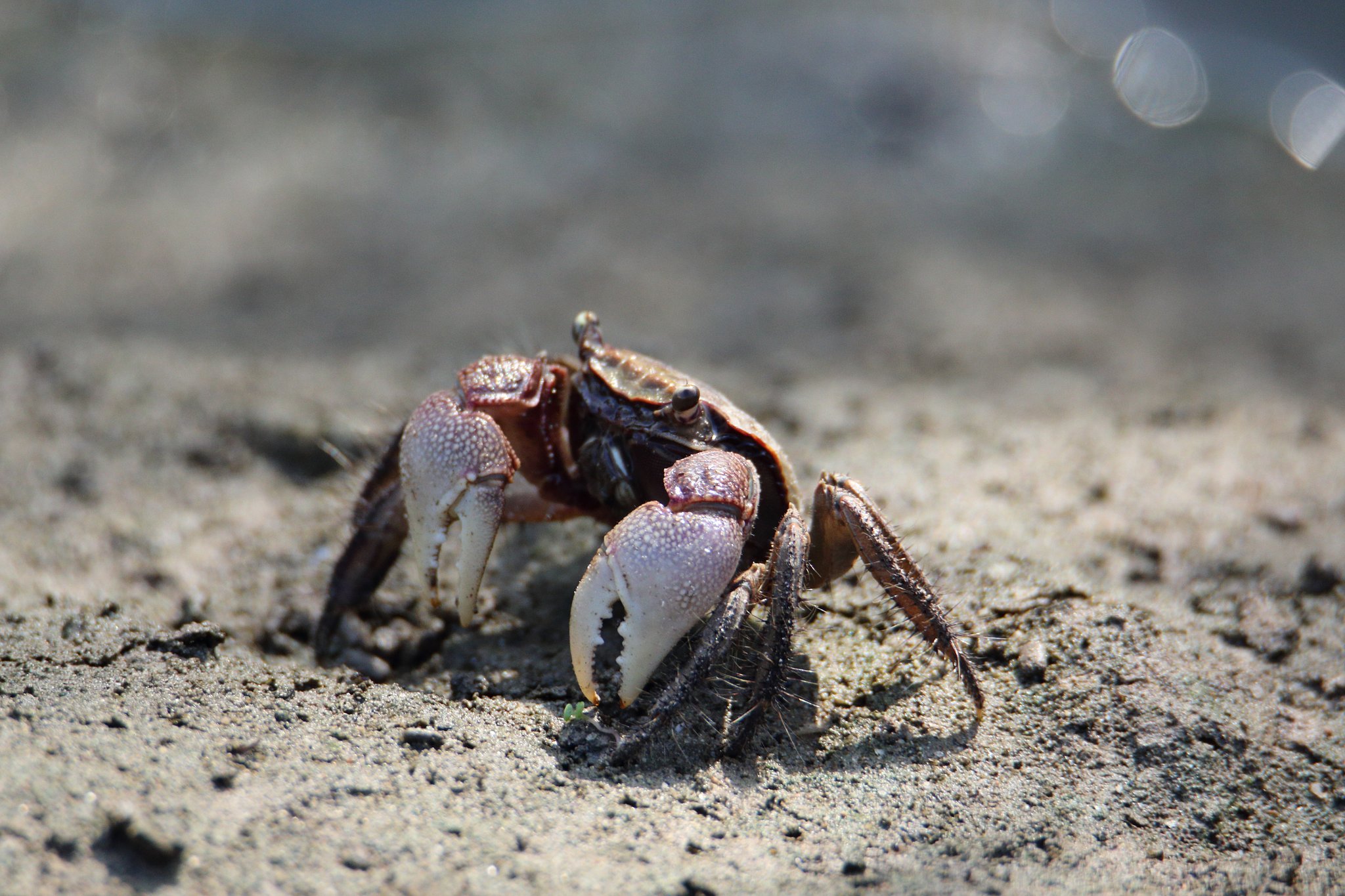 たまには俺に任せてみろ by EOS70D