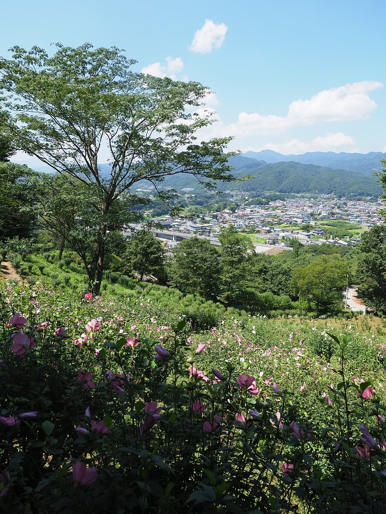 「ムクゲ自然公園」にて