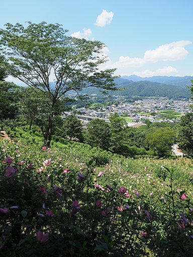 「ムクゲ自然公園」にて