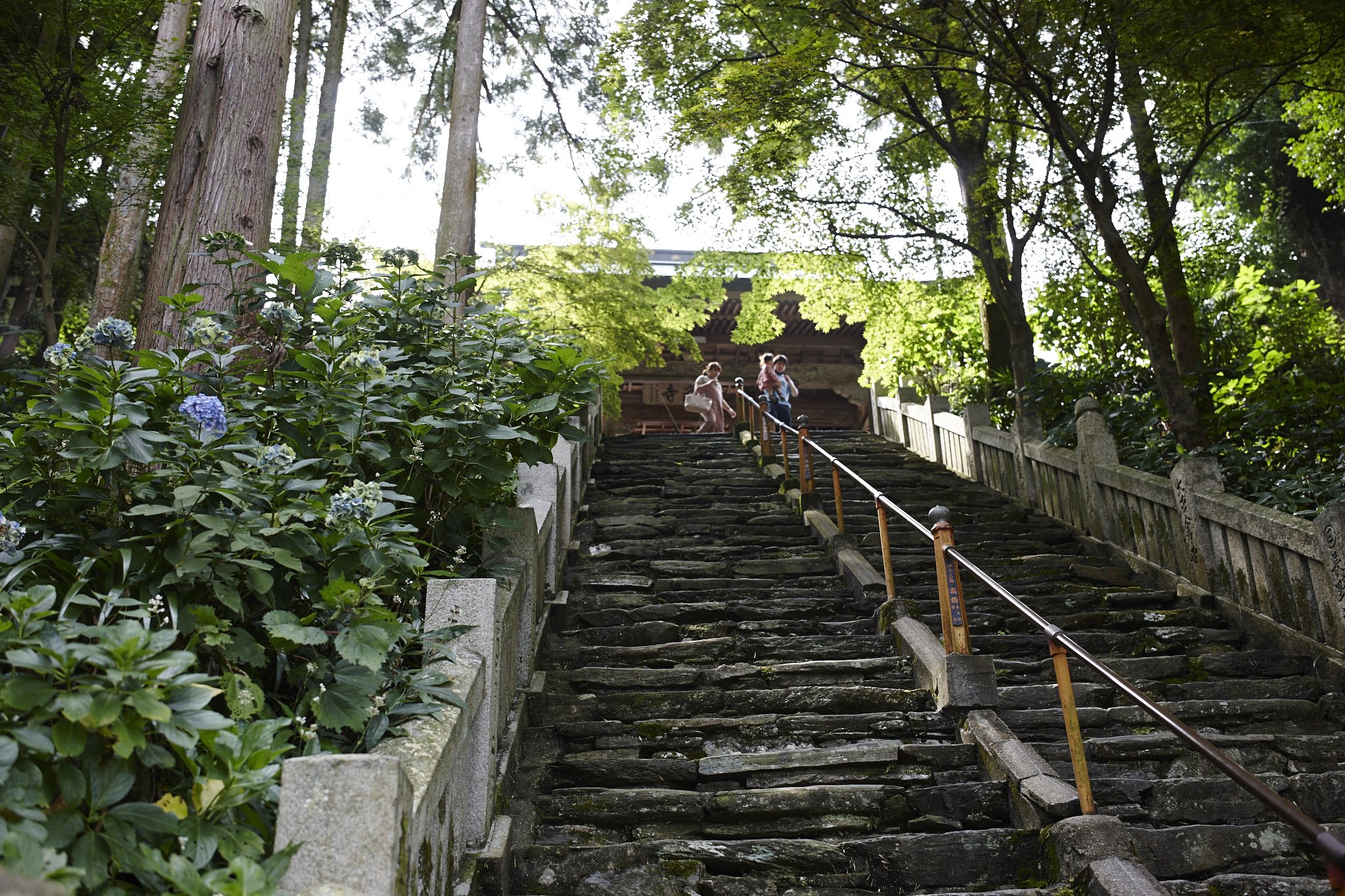 四国霊場
