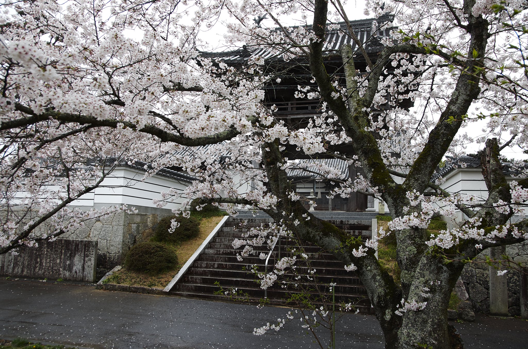 菩提寺