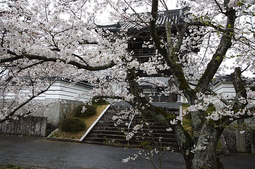 菩提寺