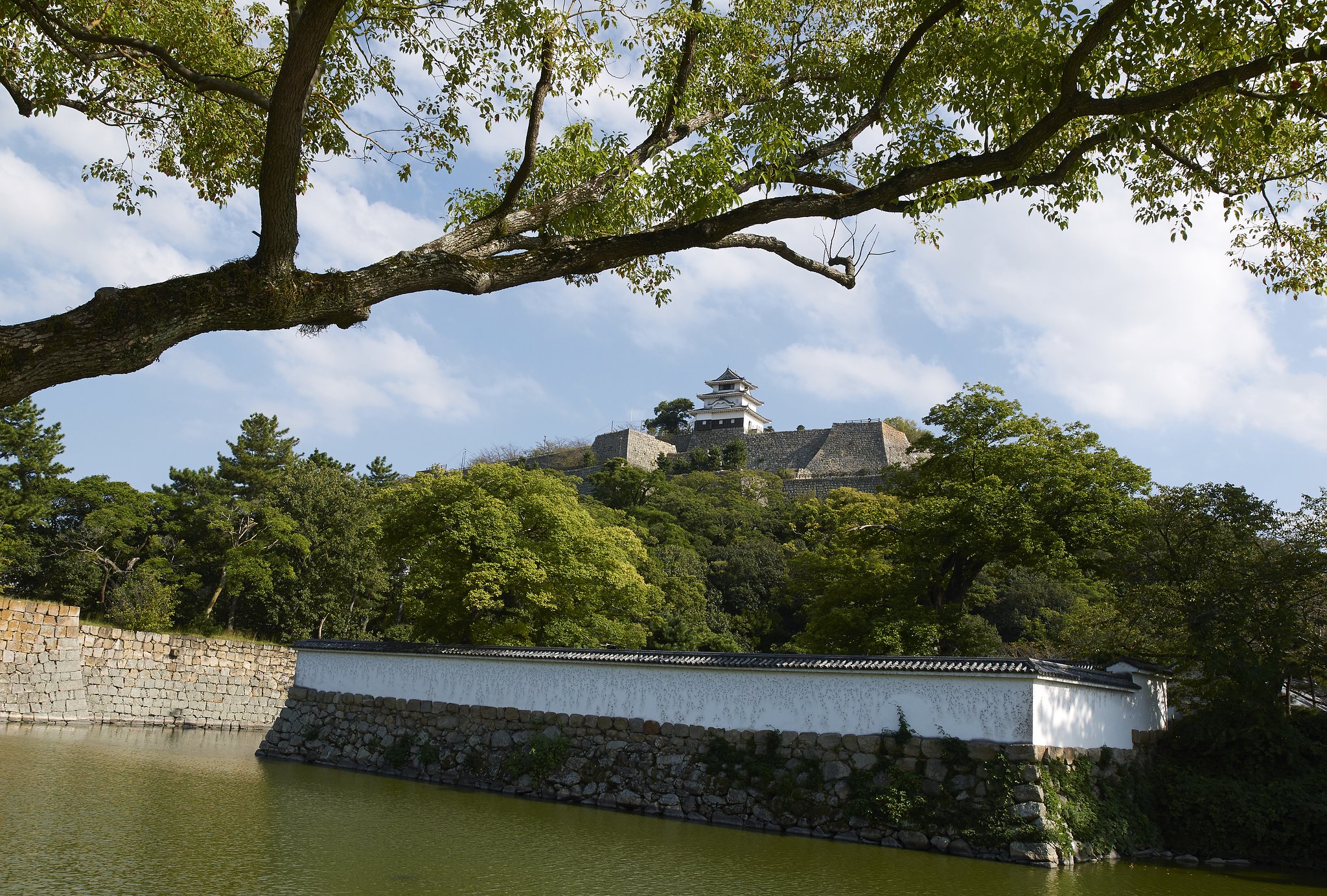 丸亀城