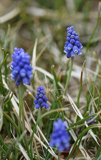 3月5日の写真