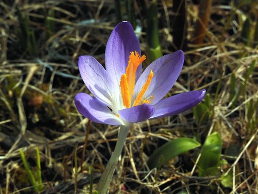 3月16日の写真