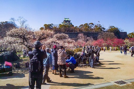 【いっぱい】花も人も。
