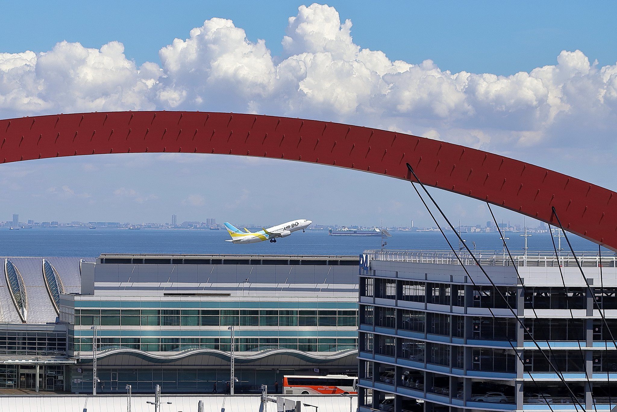積乱雲と旅客機