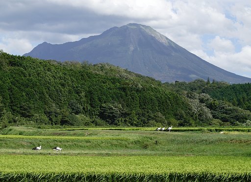 ZUIKO  D 50-200mm  f.2.8-3.5  SWD